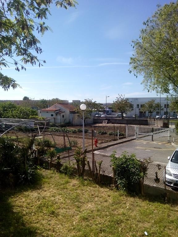 Grand Studio Proche Transport Montpellier Dış mekan fotoğraf