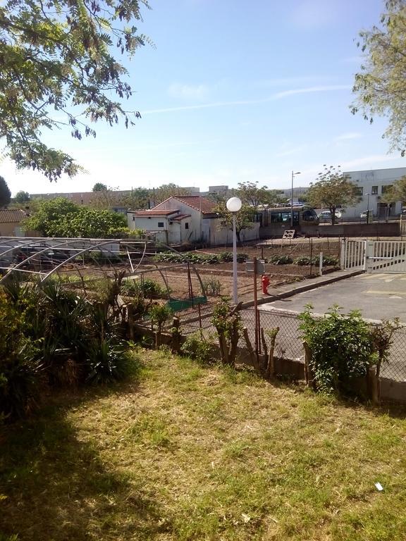 Grand Studio Proche Transport Montpellier Dış mekan fotoğraf