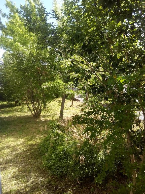 Grand Studio Proche Transport Montpellier Dış mekan fotoğraf